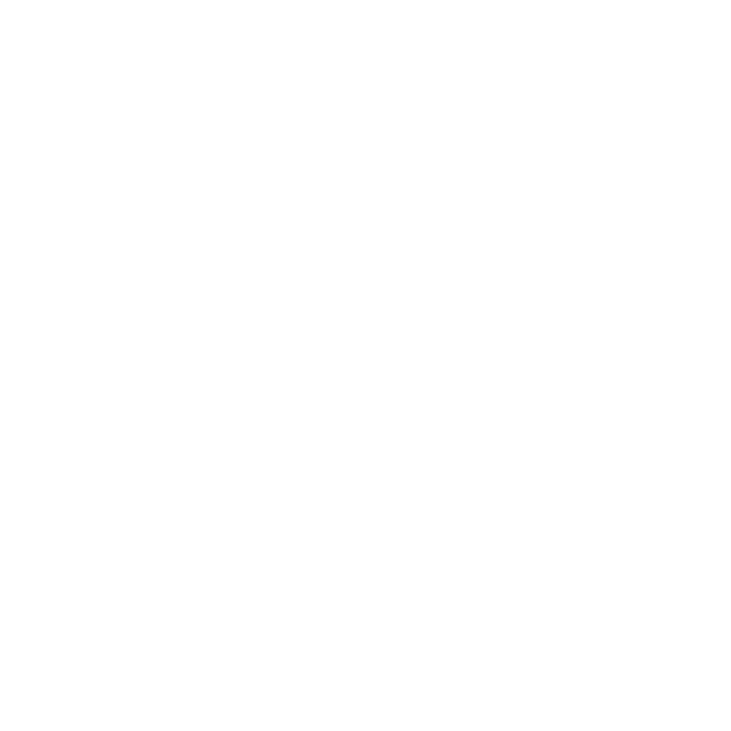 executive search executive search