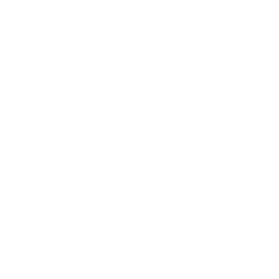 Executive Assistant Executive Assistant