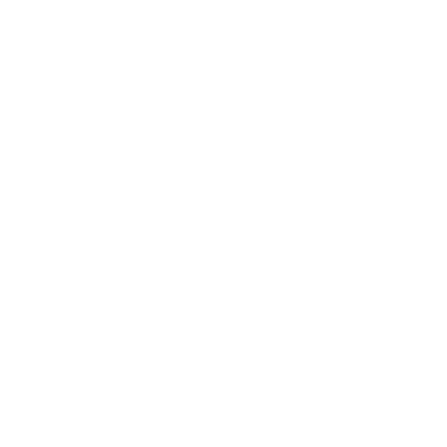 audit staff audit staff