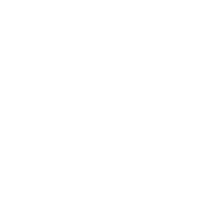 industry specific audit industry specific audit
