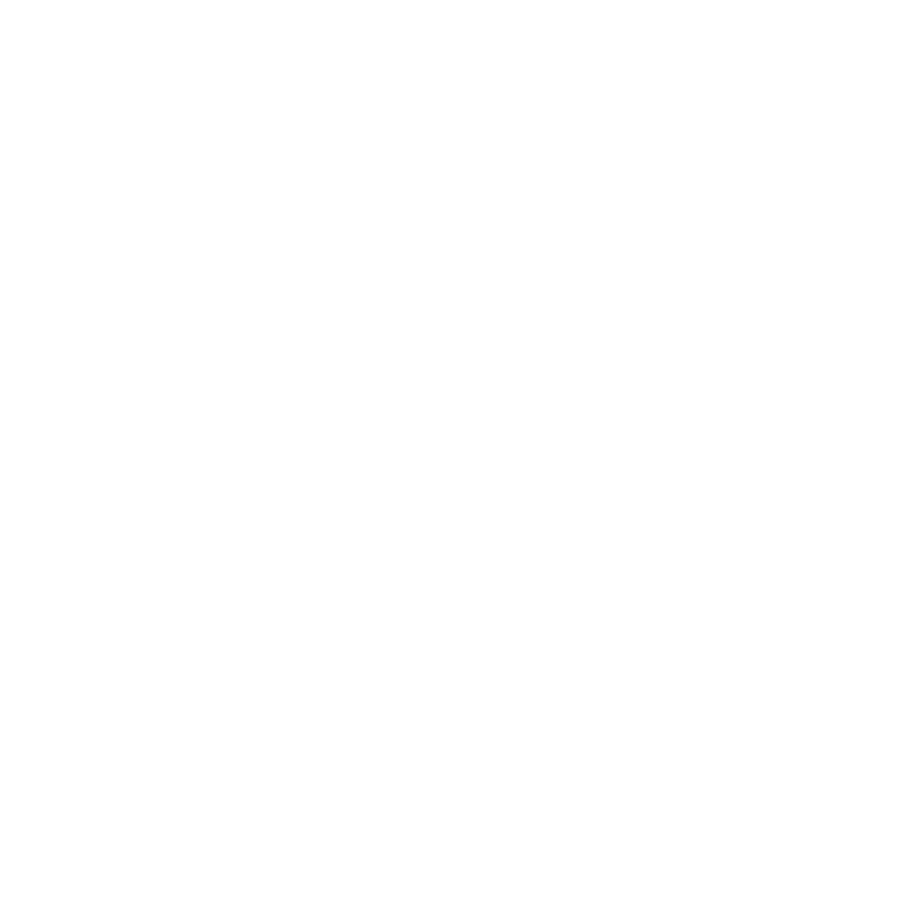 Finance Manager 4 payroll