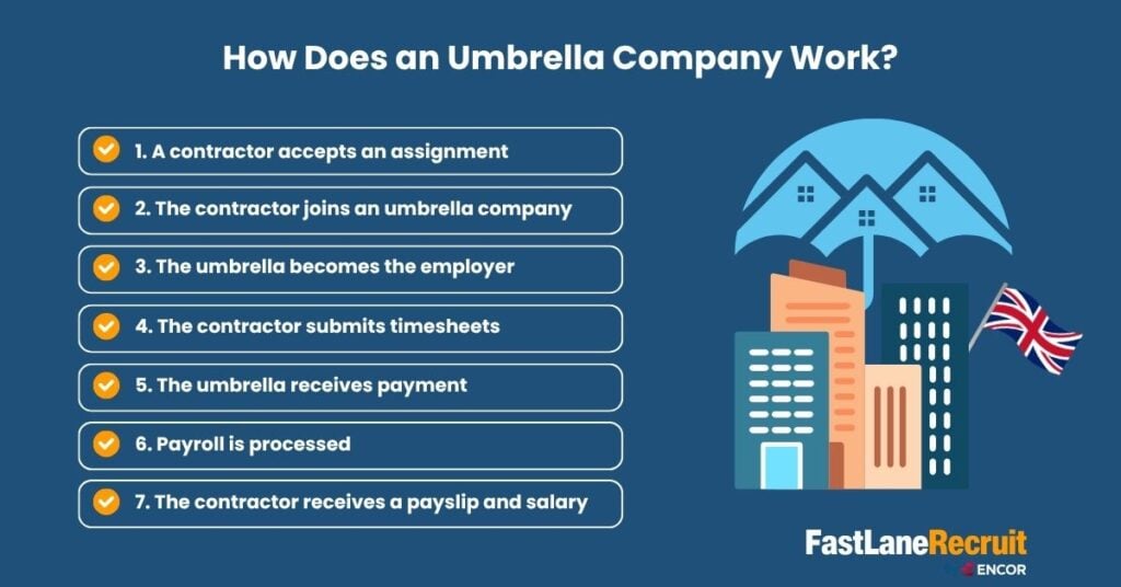 What Is an Umbrella Company? How It Works, Costs, Benefits and Alternatives in 2026 2 How Does an Umbrella Company Work?