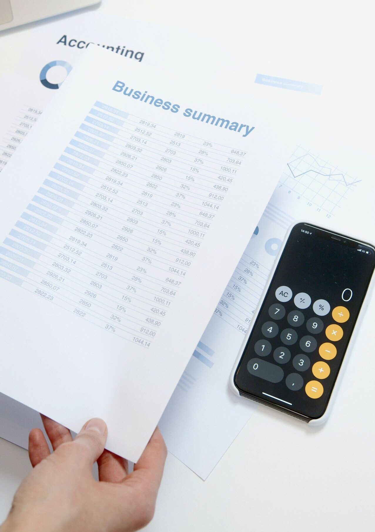 Business summary